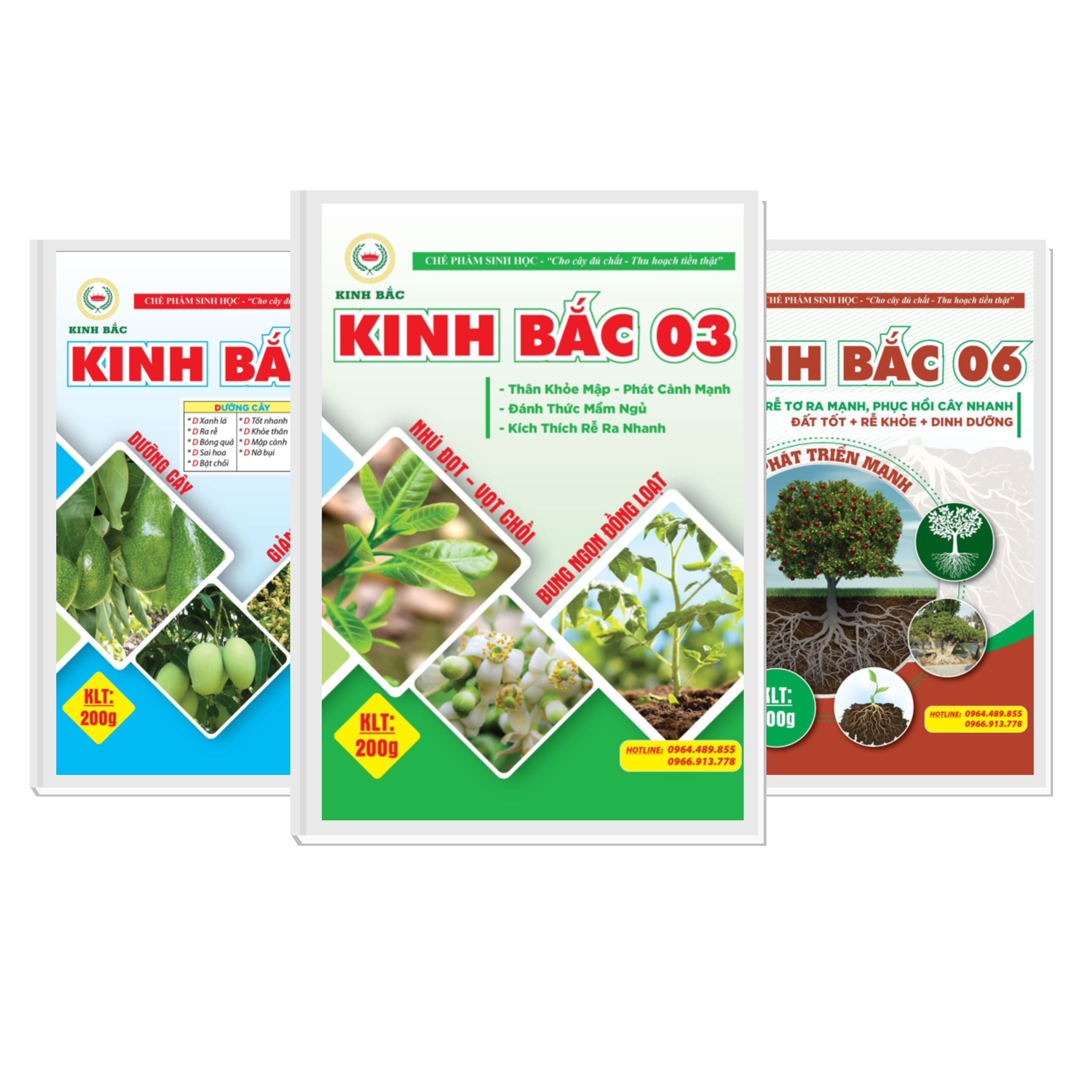 Thiết kế chưa có tên