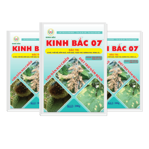 Bộ Trị Nấm - Kinh Bắc 07