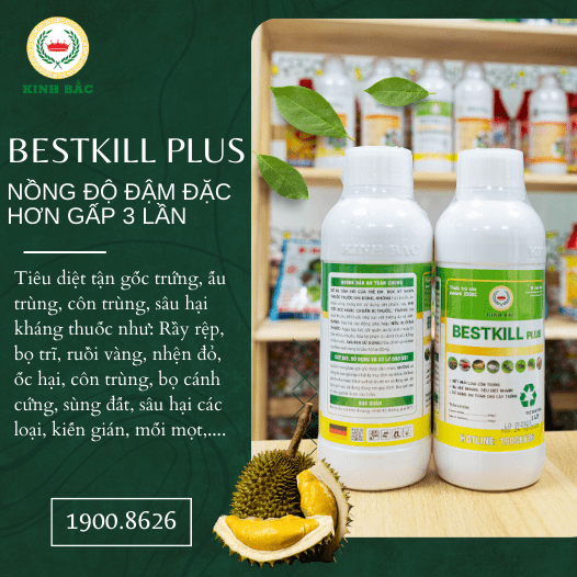 NHÃN MỚI 4-min (1)