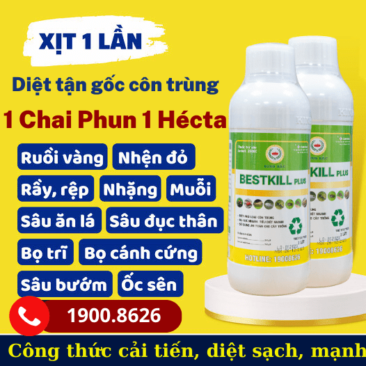 nhãn mới 1-min