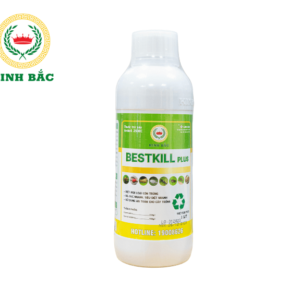 Chế Phẩm Diệt Côn Trùng Bestkil Plus