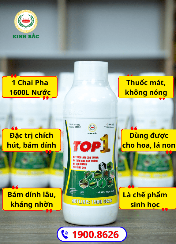 Thêm tiêu đề-min
