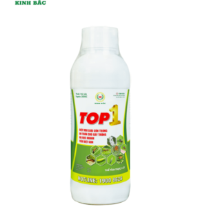 Diệt Côn Trùng TOP 1 (1000ml)