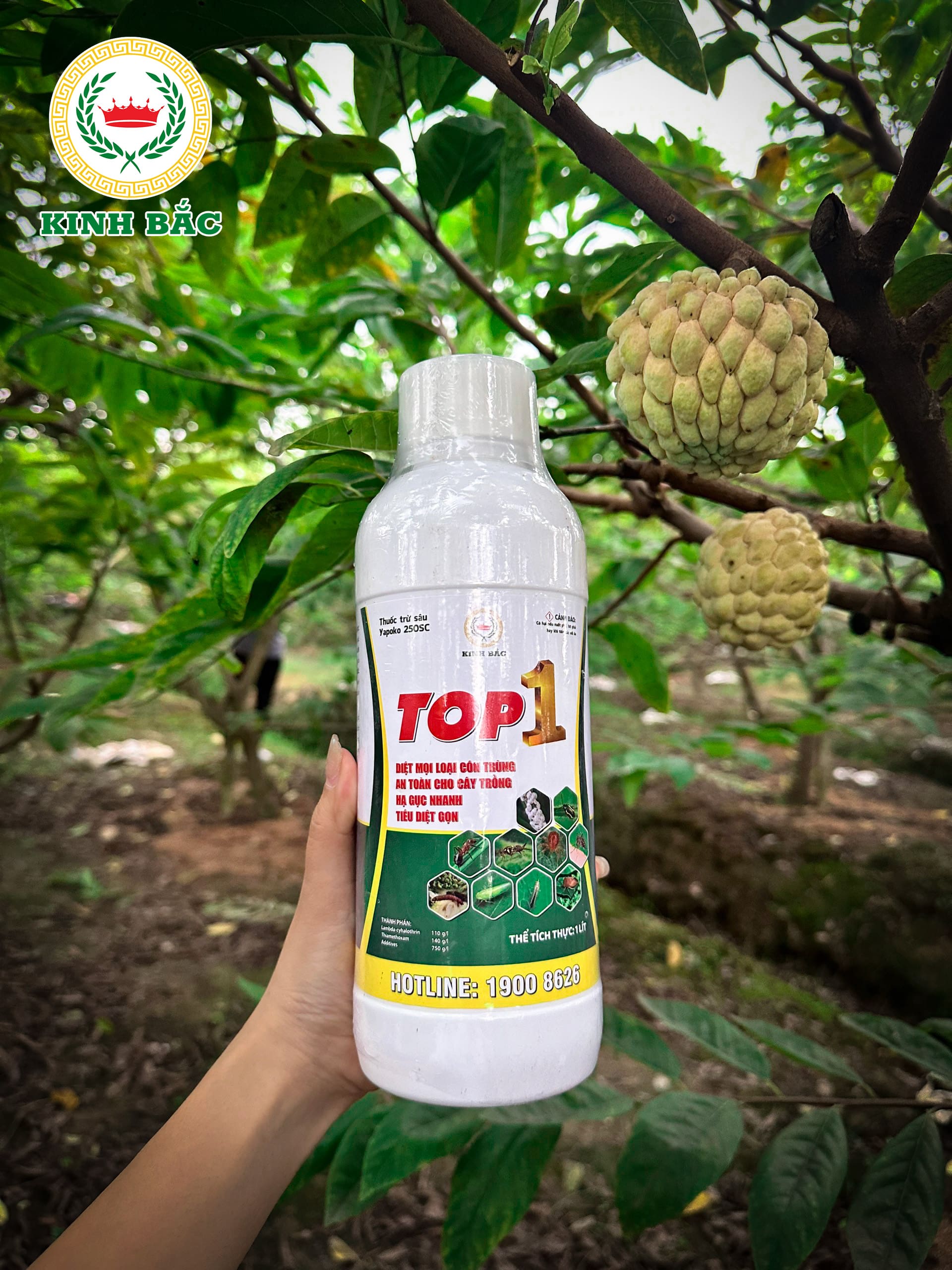 z5729112871272_ad3bd83b5d12bf139c766eb5373e2a62-min