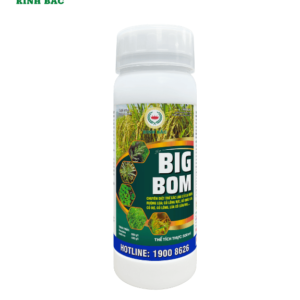 Trừ Cỏ Lúa BigBom