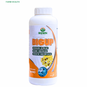 Phân Bón Hỗn Hợp BigUp