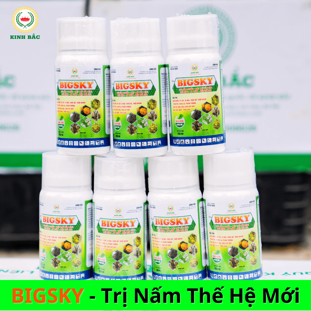 Thêm tiêu đề (1)-min