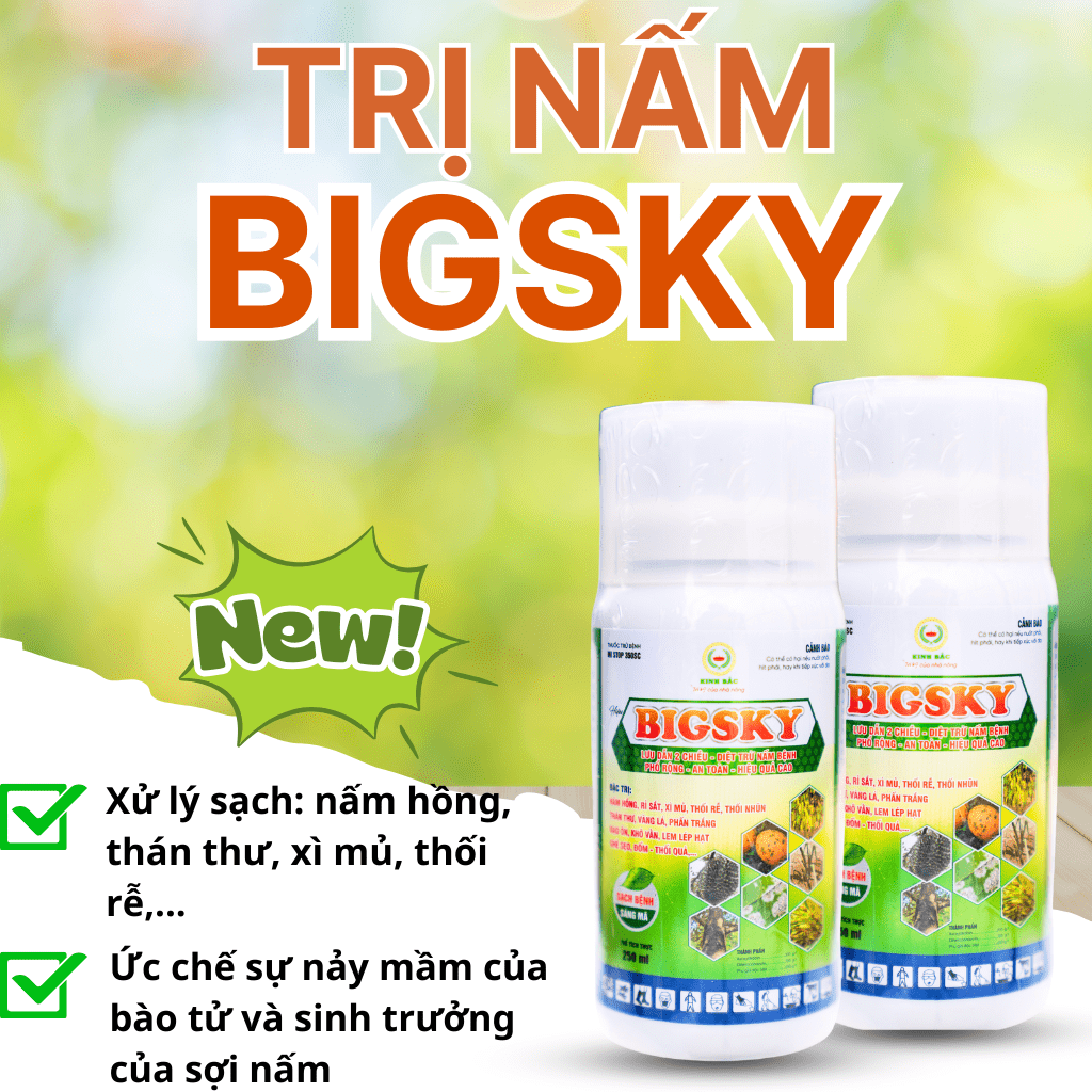 Thêm tiêu đề-min