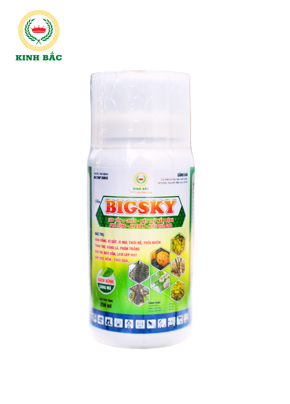 Thiết kế chưa có tên