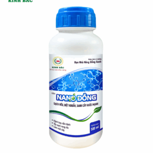 Tẩy Rong Rêu Nano Đồng