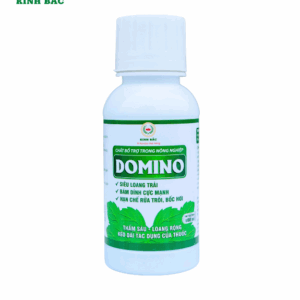 Siêu Loang Trải Domino