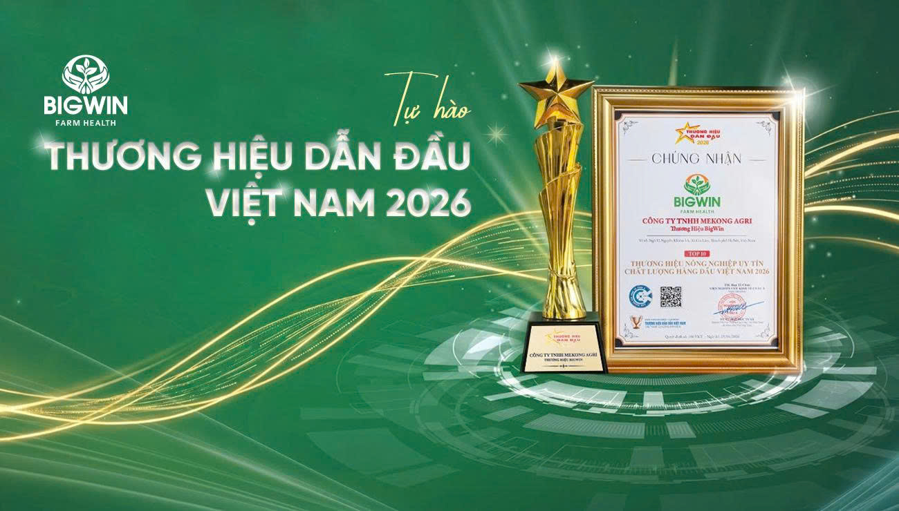 BIGWIN- TỰ HÀO THƯƠNG HIỆU DẪN ĐẦU VIỆT NAM 2026