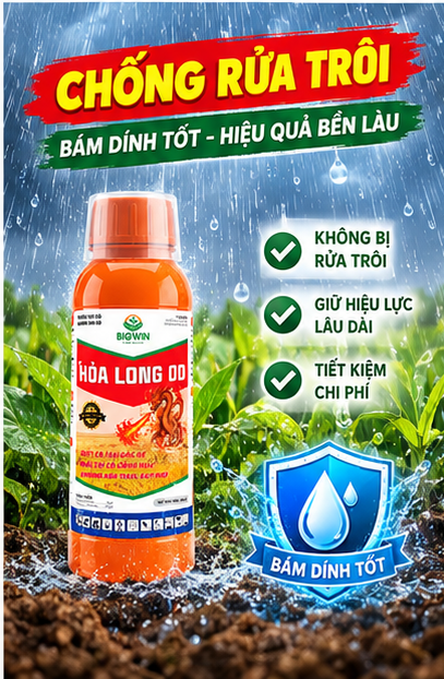 04_Chong_rua_troi