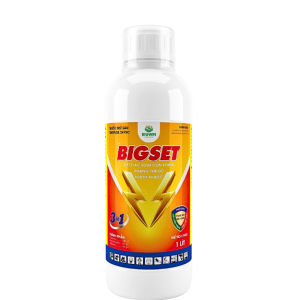 Diệt Côn Trùng BIGSET